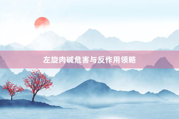 左旋肉碱危害与反作用领略